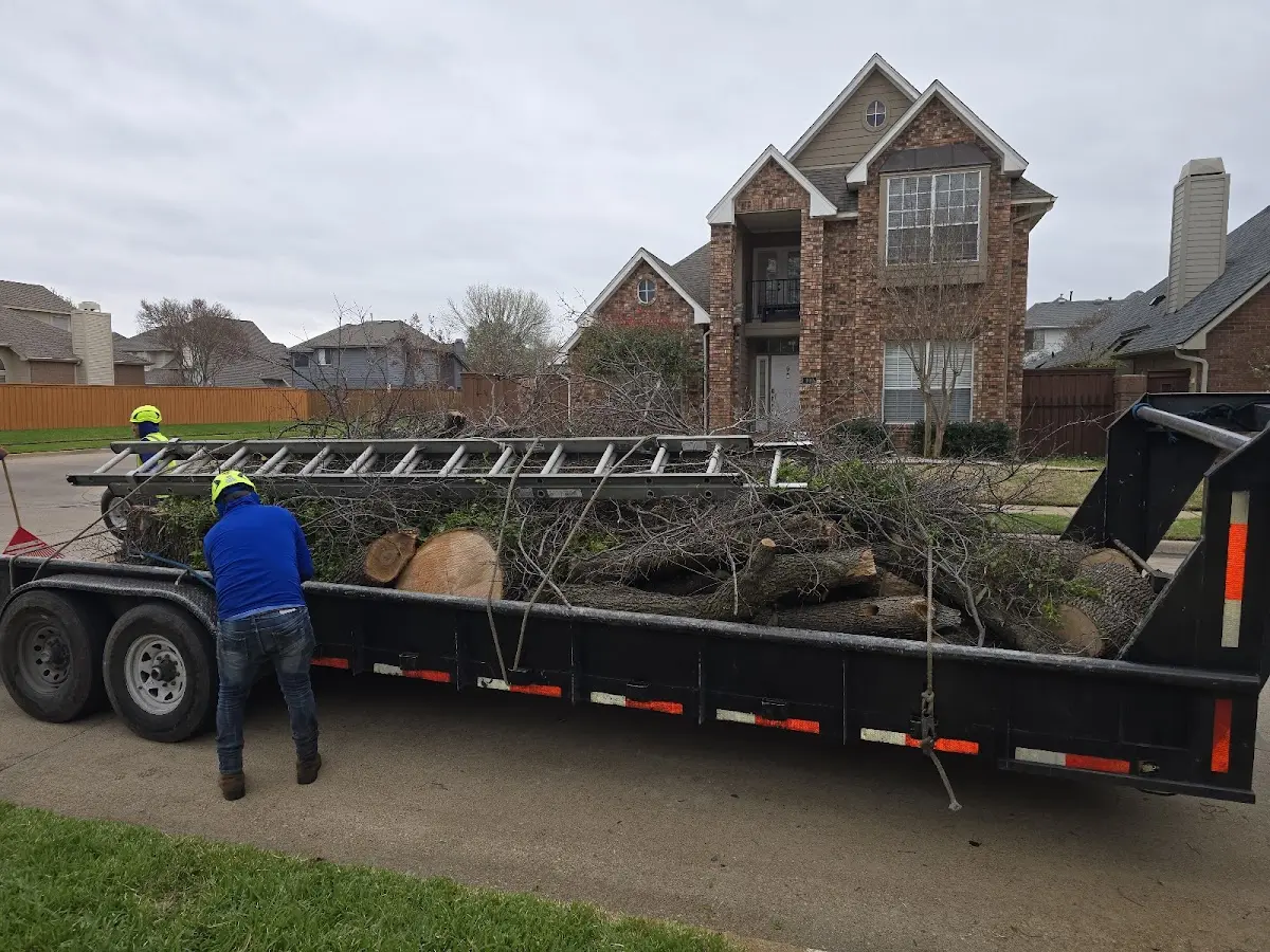 Expert Lot Clearing with proper safety equipment in Rogers